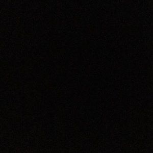 Meet your Posher, Guitel